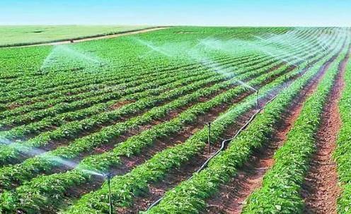 俄罗斯骚逼农田高 效节水灌溉